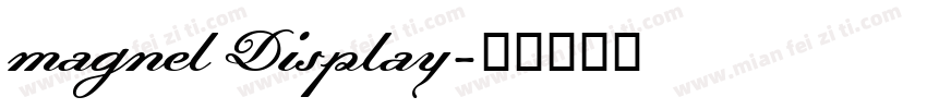 magnel Display字体转换